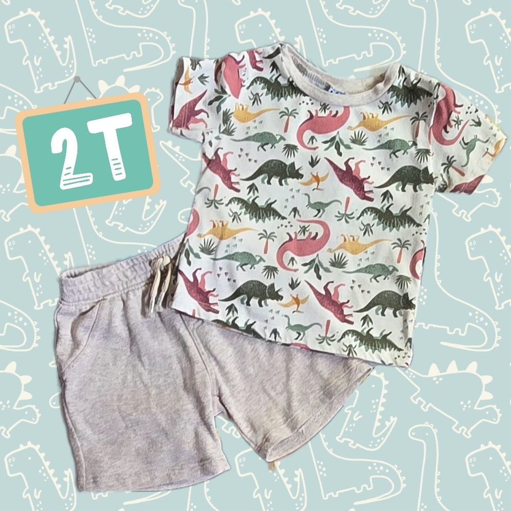 Dinosaur Print Kids Matching Set